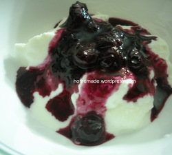 blueberry Yogurt